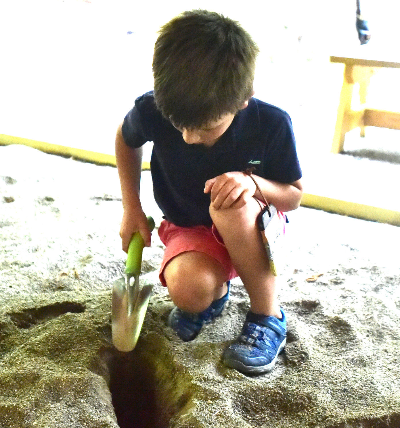 Digging up bones